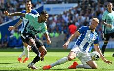 Nhận định, soi kèo Brighton vs Newcastle, 23h30 ngày 2/9