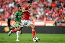 Soi kèo phạt góc Benfica vs Club Brugge, 3h ngày 8/3