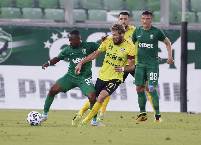 Nhận định, soi kèo Shakhter Soligorsk vs Ludogorets, 2h30 ngày 14/7