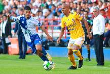 Nhận định Pachuca vs Tigres UANL, 9h00 ngày 19/3