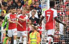 'Tôi đau đớn, tôi gục ngã, xin lỗi các fans của Arsenal rất nhiều'